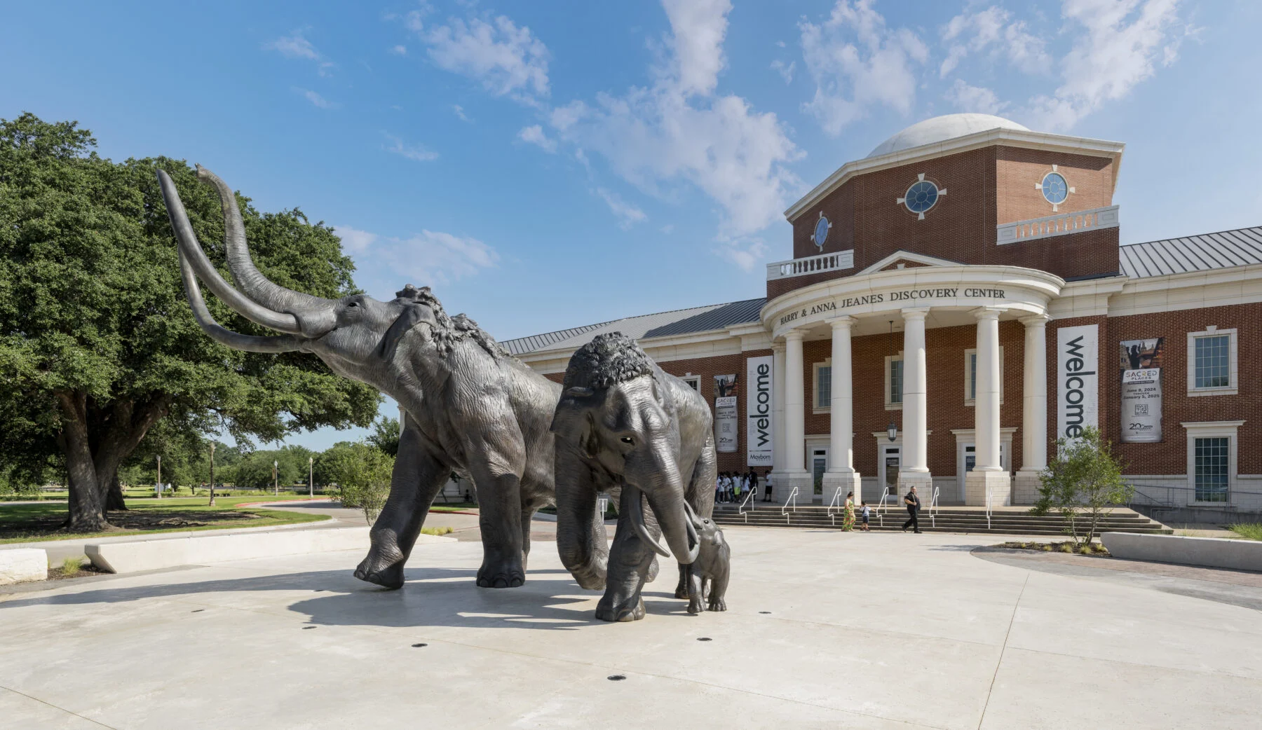 mammoth sculptures installed in front of museum