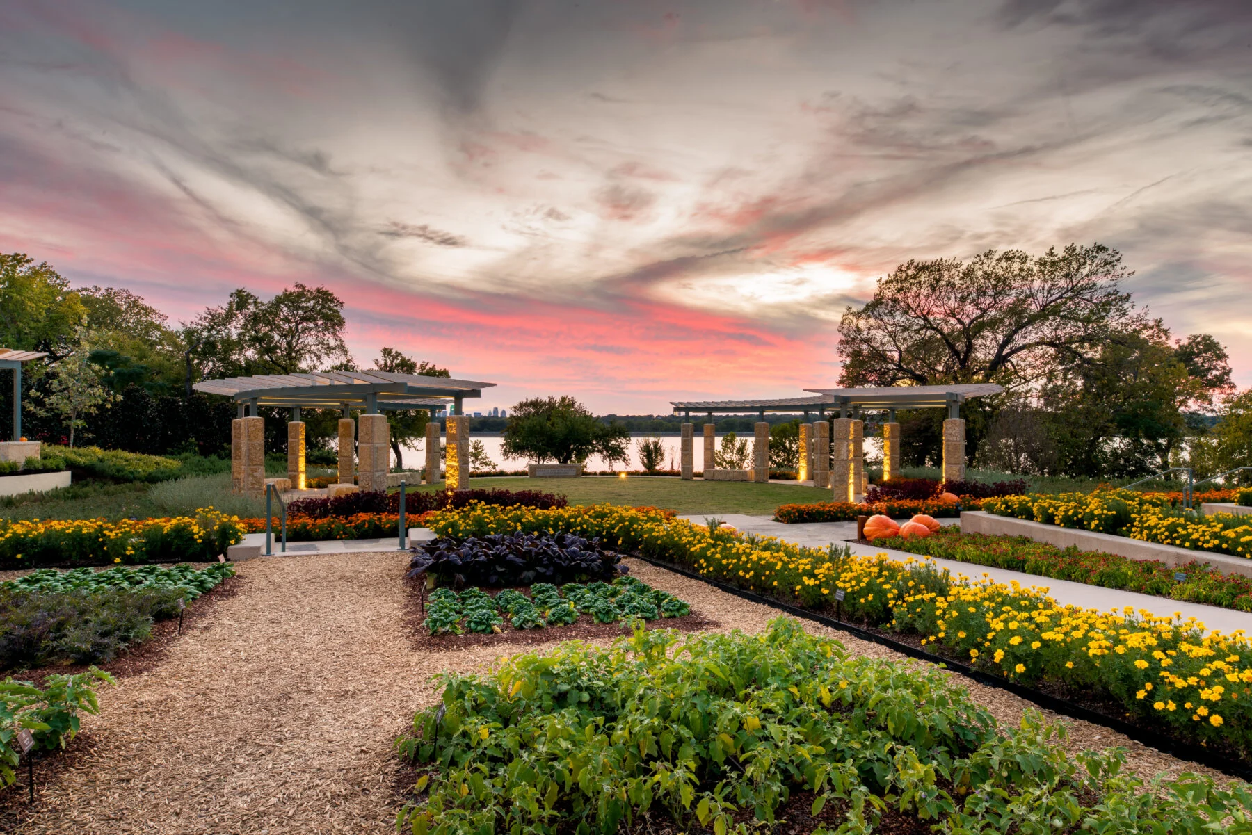 garden space with sunset